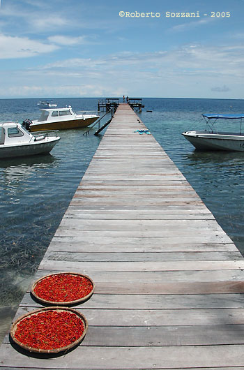 Walea Island - Il pontile - The jetty