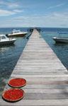 The jetty