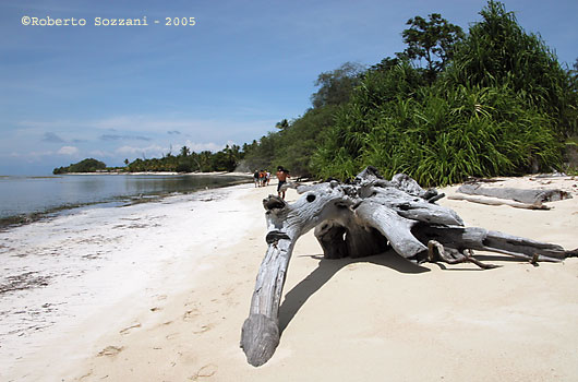 Walea island - Verso la punta est - On the way to the East Point