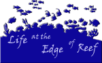 Life at the Edge of Reef